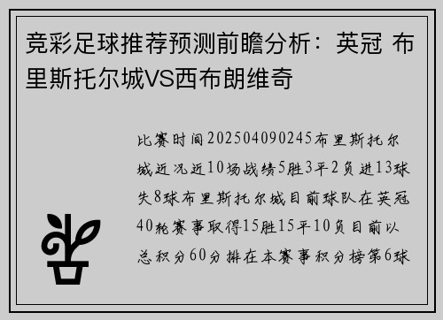 竞彩足球推荐预测前瞻分析:英冠 布里斯托尔城VS西布朗维奇